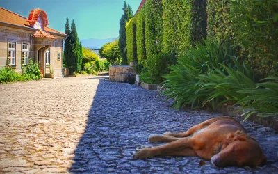 10 Things I Love About Solo Slow Travel: It’s All About That Pace
