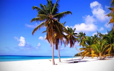 Top 11 Must-Do Activities on Dominica Island in the Caribbean