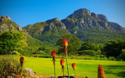 Cape Town Kirstenbosch Gardens: A Verdant Escape in the City