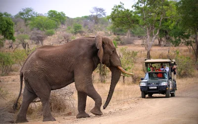 Best Places to Go in South Africa for Every Type of Traveler